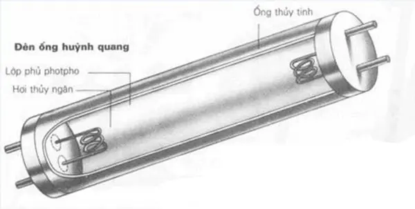 Đèn huỳnh quang – Đèn ống phát sáng nhờ hiện tượng phóng điện trong khí và lớp bột huỳnh quang