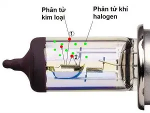 Đèn sợi đốt halogen – Nguồn sáng hiệu suất cao hơn đèn sợi đốt truyền thống