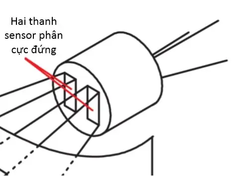 phan-cuc-cua-linh-kien-PIR hình minh họa phân cực của linh kiện pir